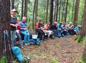 Wanderrast im Wald